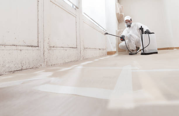 24/7 Emergency Mold Removal experts in Hampton, VA